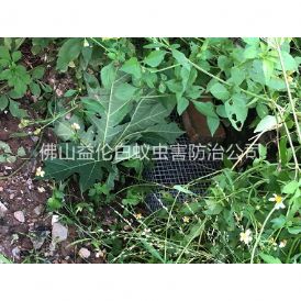 沙头住宅区处理蛇患工程